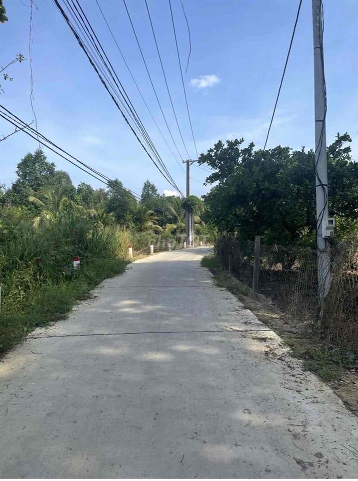 bán đất trồng cây lâu năm