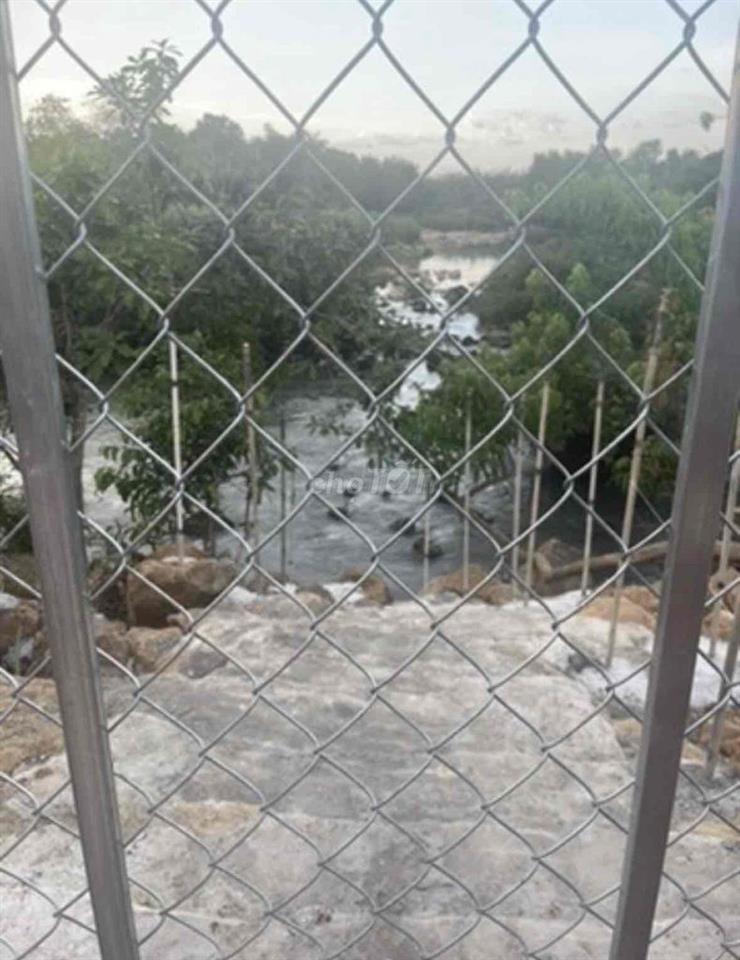 bán đất trồng cây lâu năm
