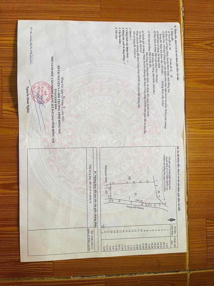 bán đất trồng cây lâu năm