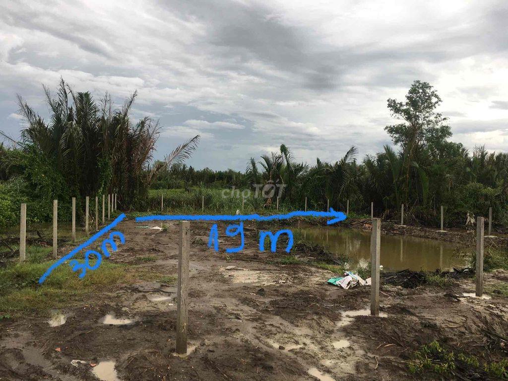 Đât trồng cây hàng năm