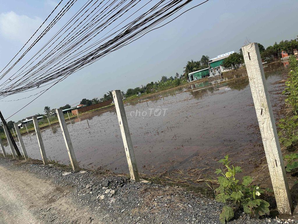 cần bán 1000m2 đất lúa
