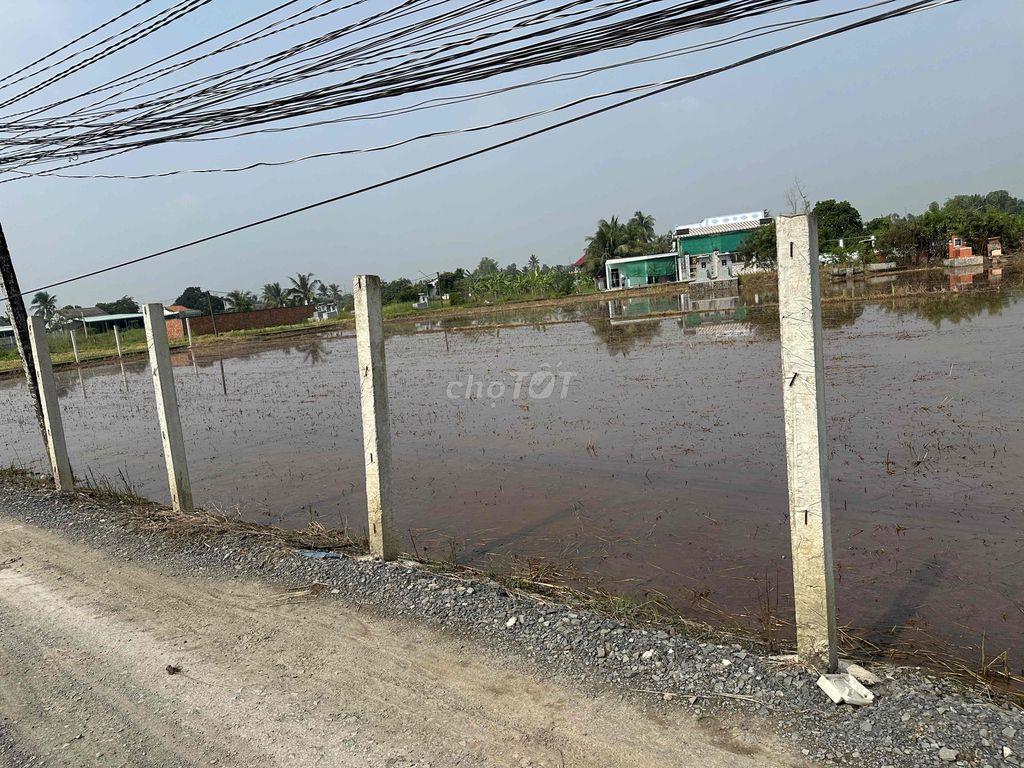 cần bán 1000m2 đất lúa