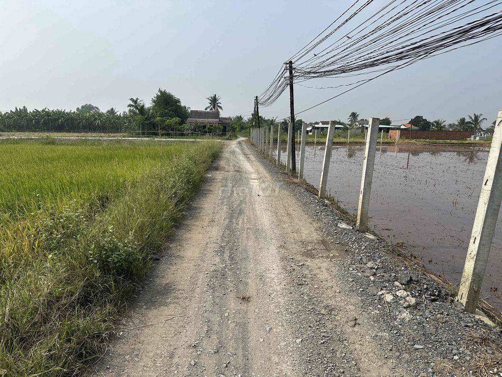 cần bán 1000m2 đất lúa