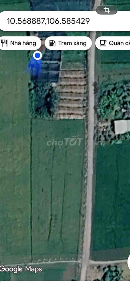 cần bán 1000m2 đất lúa