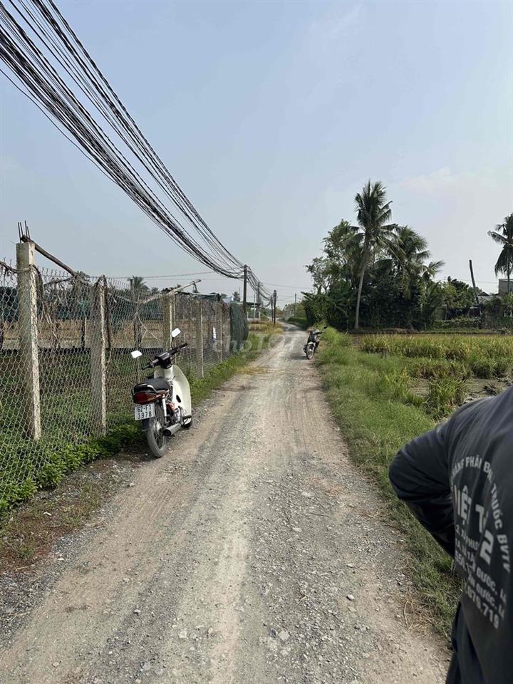 cần bán 1000m2 đất lúa