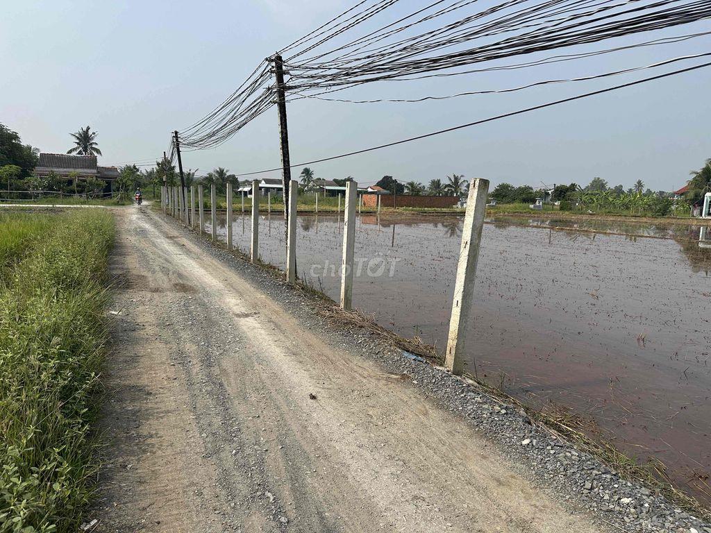 cần bán 1000m2 đất lúa