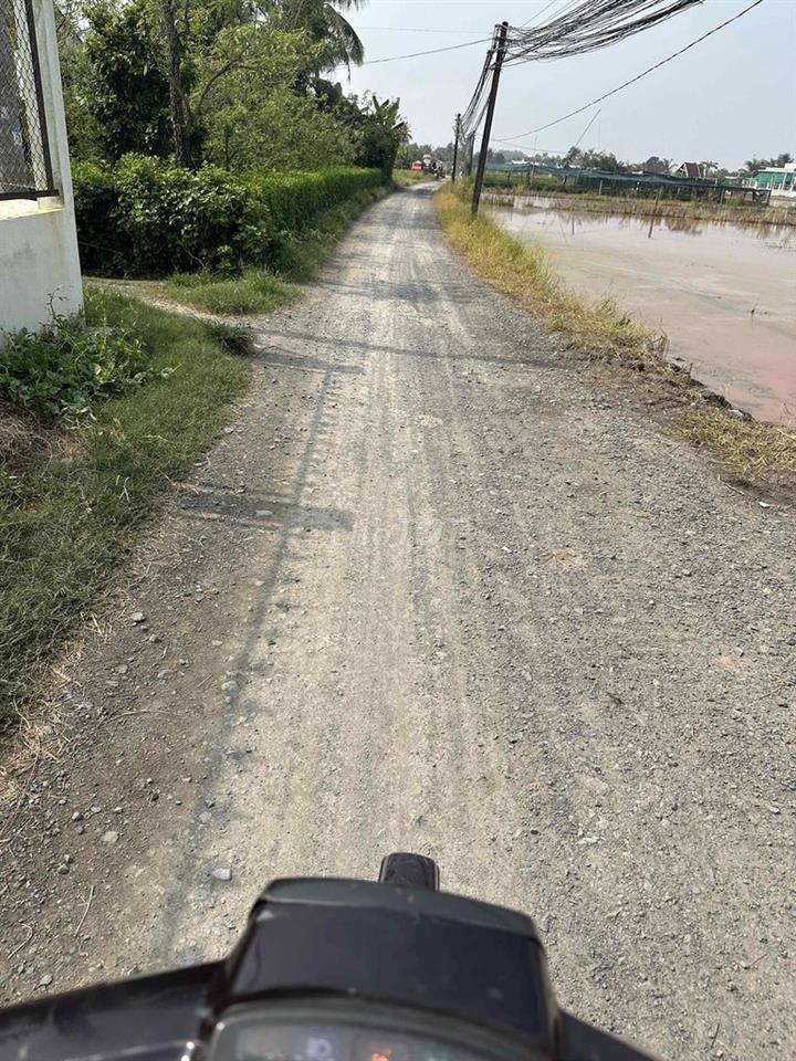 cần bán 1000m2 đất lúa