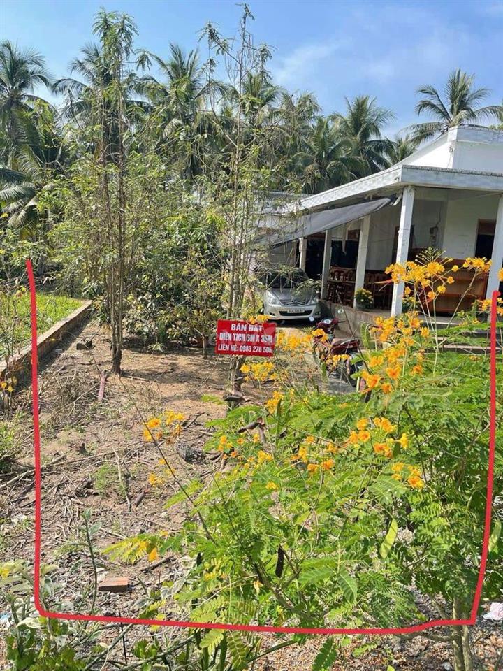 Bán đất.hương lộ 31, ấp trà ốp xã an trường tỉnh Vĩnh Long (mới)