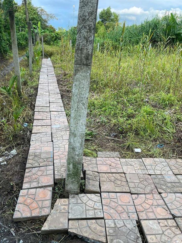 Cần bán đất