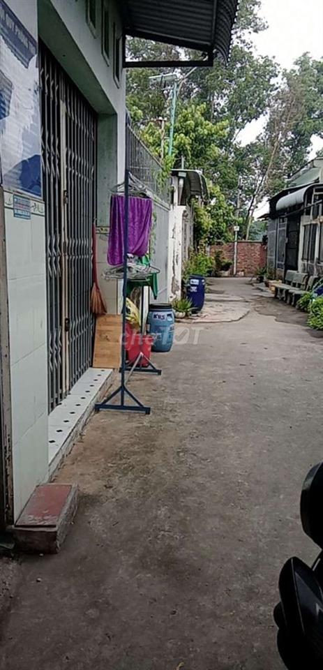 Phòng trọ nằm trong hẻm an ninh, hai bên là vườn cây sạch sẽ, mát mẻ.