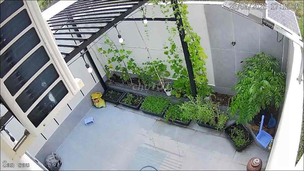 cần bán gấp
