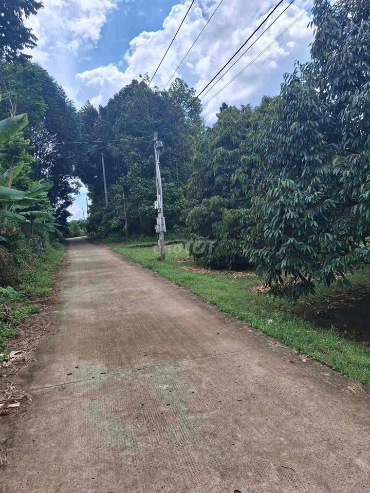 Bán gấp  vườn trái cây, view suối, ngay chợ Cây Me,Bình Lộc, Đồng Nai