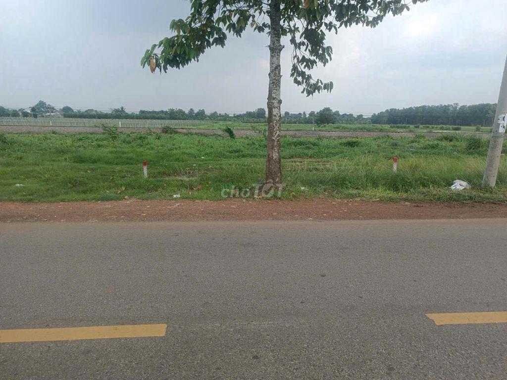 BÁN LÔ ĐẤT MẶT TIỀN ĐƯỜNG LIÊN HUYỆN XUÂN LỘC,ĐỒNG NAI, THỔ CƯ 196M2