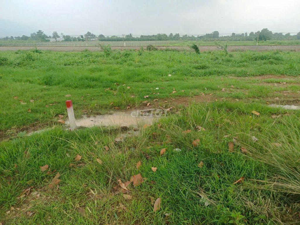 BÁN LÔ ĐẤT MẶT TIỀN ĐƯỜNG LIÊN HUYỆN XUÂN LỘC,ĐỒNG NAI, THỔ CƯ 196M2