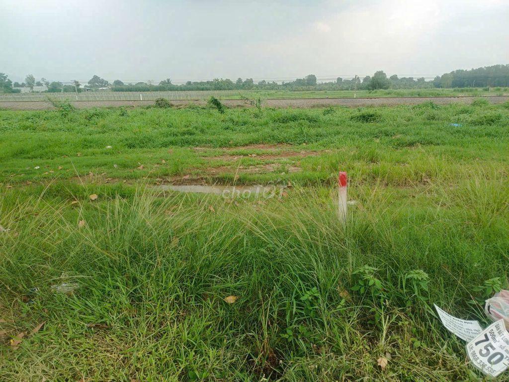 BÁN LÔ ĐẤT MẶT TIỀN ĐƯỜNG LIÊN HUYỆN XUÂN LỘC,ĐỒNG NAI, THỔ CƯ 196M2