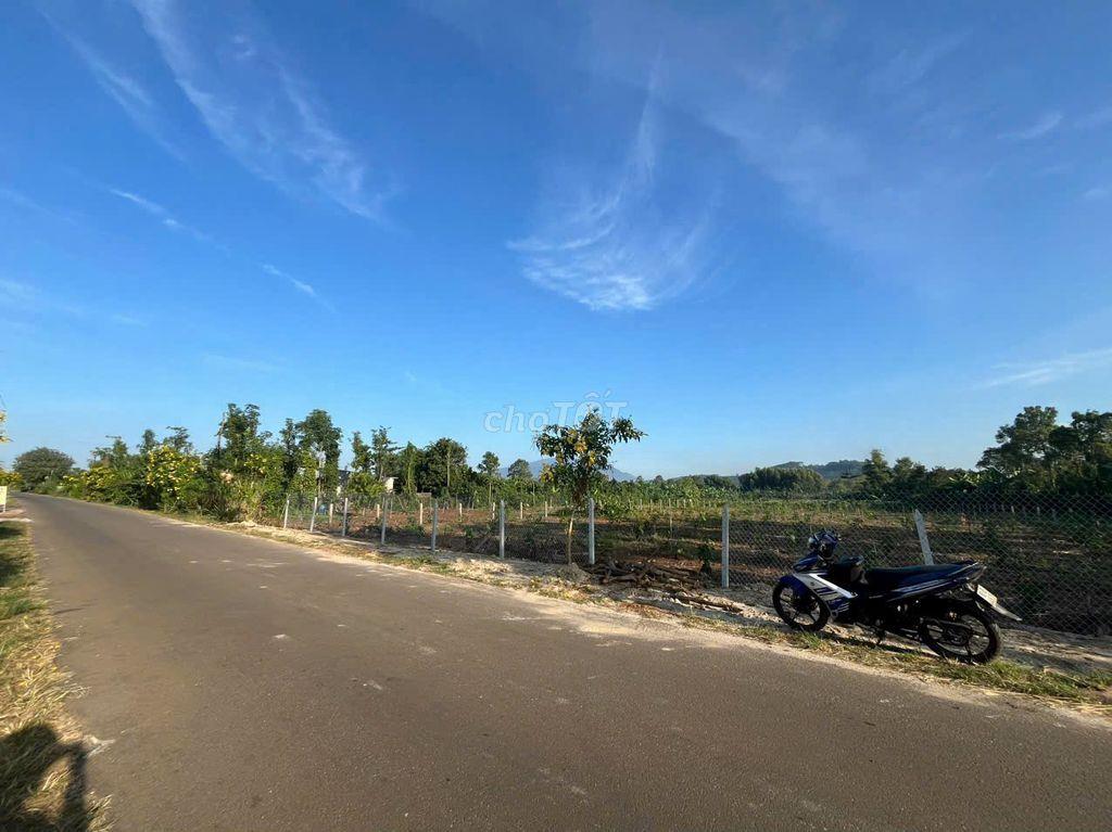 BÁN 1000M2 ĐẤT Ở NÔNG THÔN MẶT TIỀN ĐƯỜNG NHỰA TẠI XUÂN PHÚ, ĐỒNG NAI