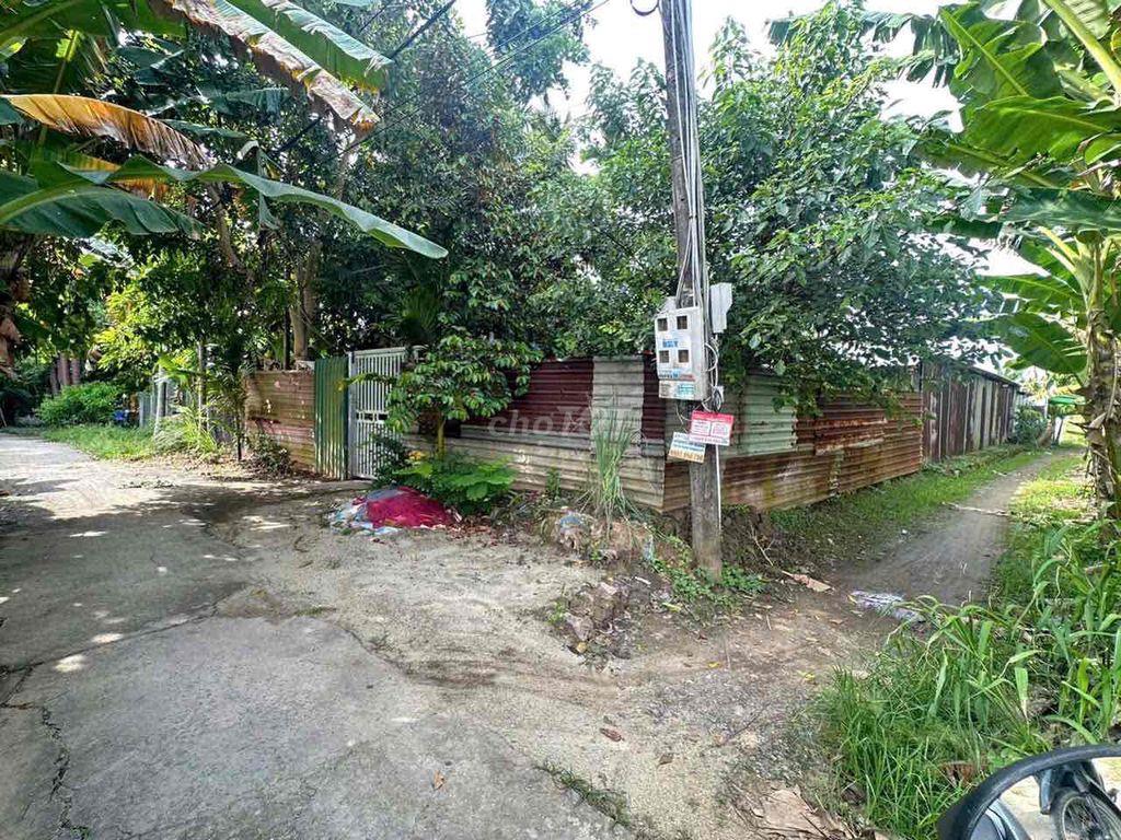 Gần 2 Công Đất Lúa Gần Lộ 40M Nguyễn Văn Linh