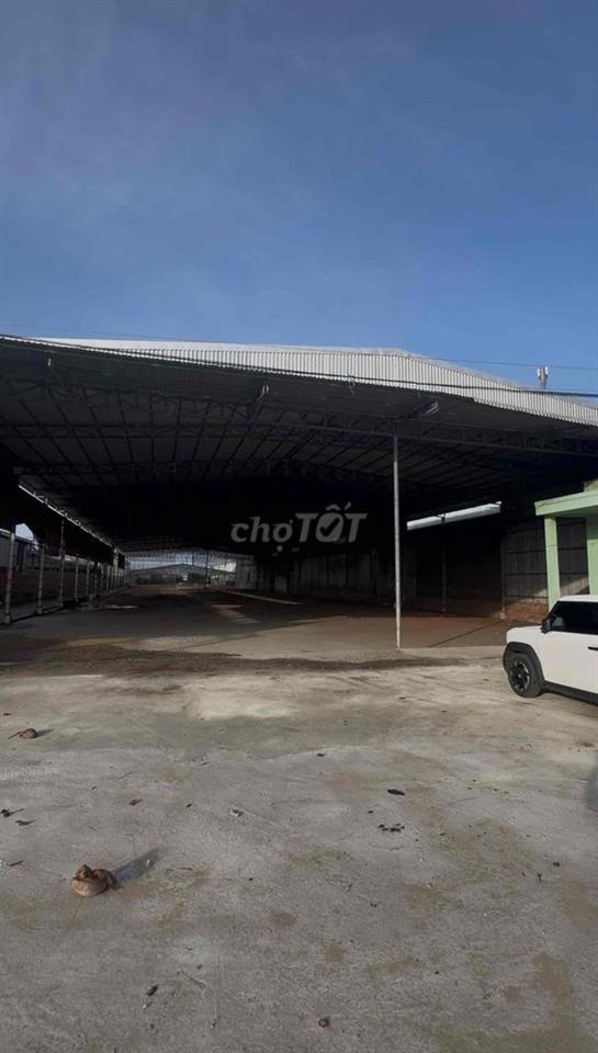 Cho thuê kho full nhà xưởng