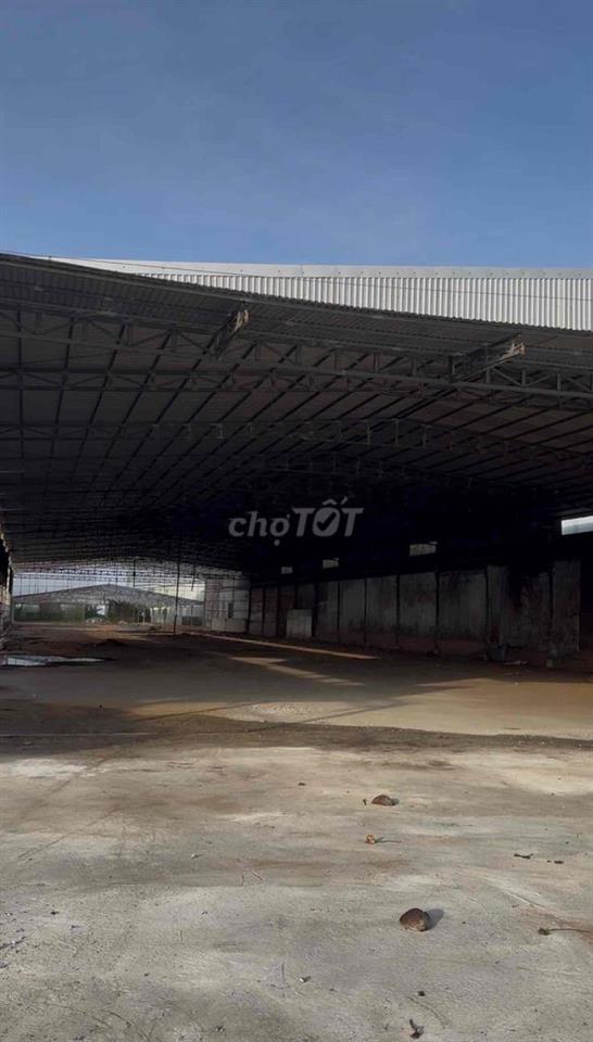 Cho thuê kho full nhà xưởng