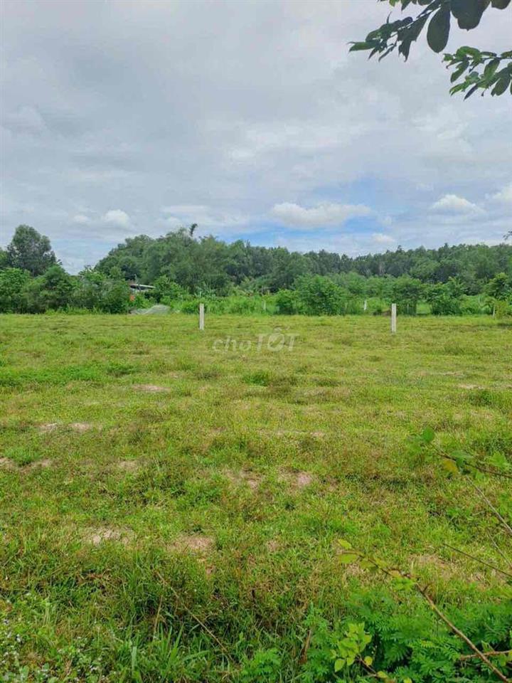 Đất Xóm Mới 2 ,Trí Bình , Châu Thành cũ , Tây Ninh