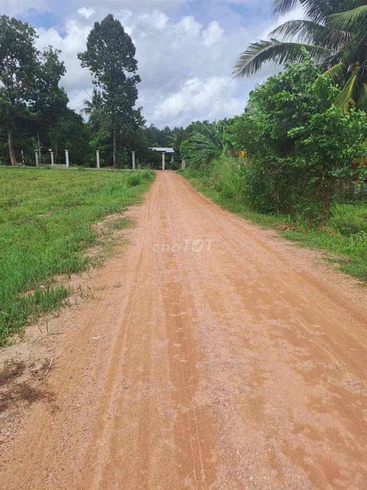 Đất Xóm Mới 2 ,Trí Bình , Châu Thành cũ , Tây Ninh