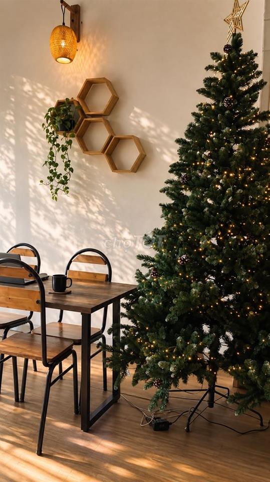 Sang nhanh Study Cafe - mb 6tr