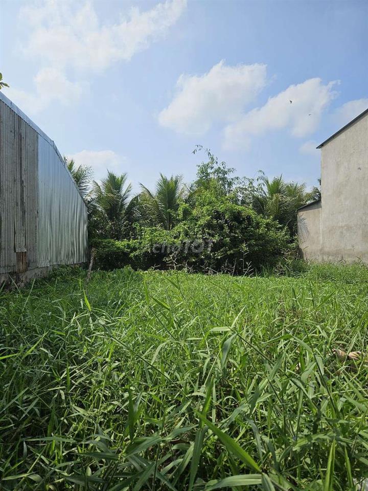 Đất nền Mỹ Phong - tp Mỹ Tho cũ