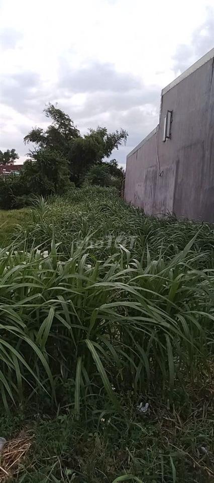 CC cần bán 140m2 tại Thôn Đại Lễ, Phước Hiệp, Tuy Phước, giá đầu tư