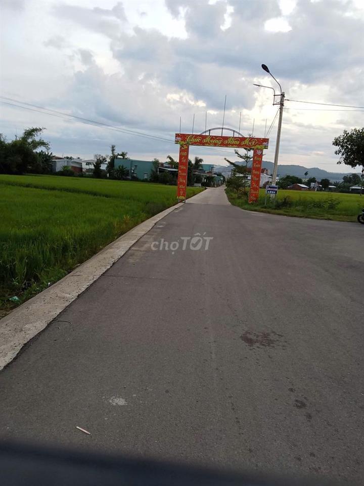 CC cần bán 140m2 tại Thôn Đại Lễ, Phước Hiệp, Tuy Phước, giá đầu tư