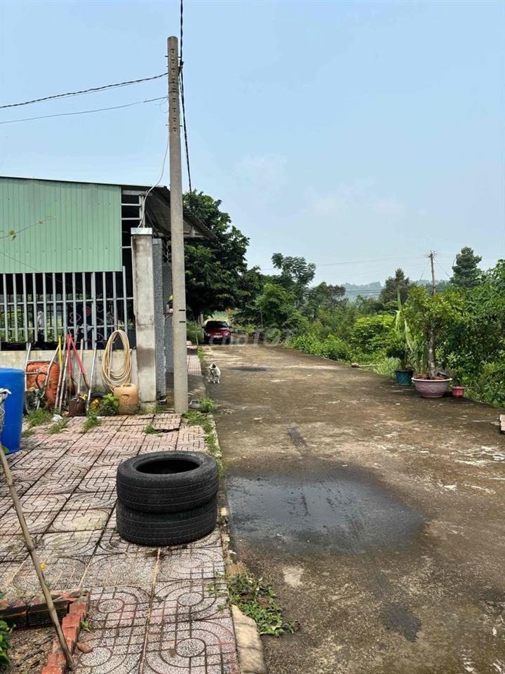 Bán đất nền Phú Mỹ chính chủ