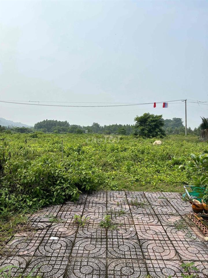 Bán đất nền Phú Mỹ chính chủ