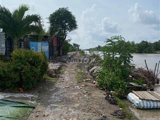 BÁN ĐẤT TRỒNG CÂY LÂU NĂM TIỀN NĂNG