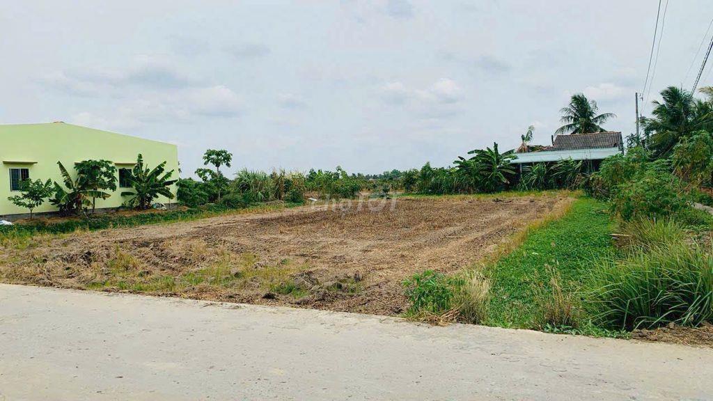 Chính chủ cần bán đất Huyện Tân Trụ, Tỉnh Long An (cũ)