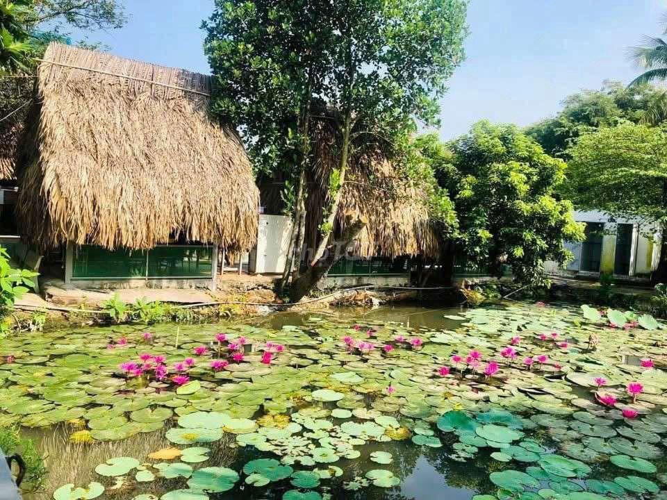 Sang nhượng nhà hàng sân vườn 4000m2