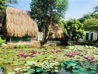 Sang nhượng nhà hàng sân vườn 4000m2