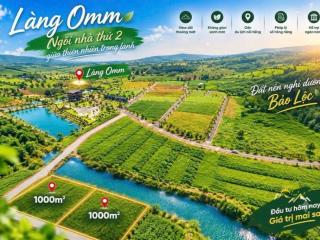 Đất Làng OMM Bảo Lộc 1.000m² – Sổ sẵn, giá chỉ 2,3 triệu/m² 