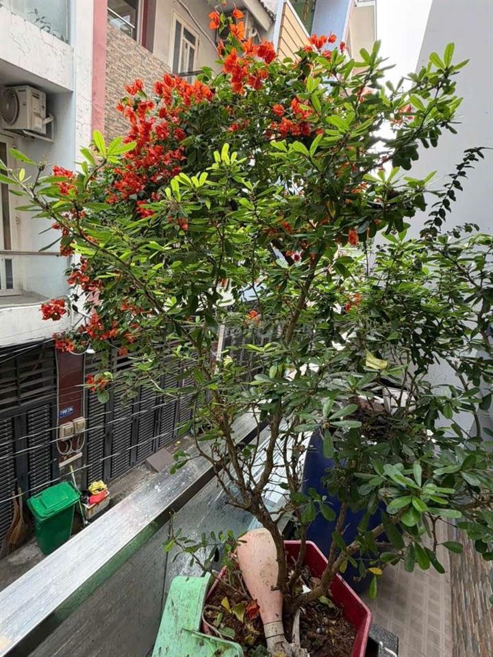 Nhà 1 / Tỉnh lộ 10 hẻm xe hơi
