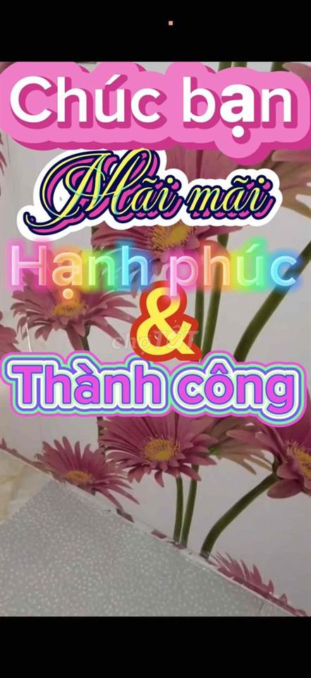Nhà cho thuê đẹp,rẻ;Đường QuangTrung,nhà thờ ThôngTây;Gần chợ ThôngTây