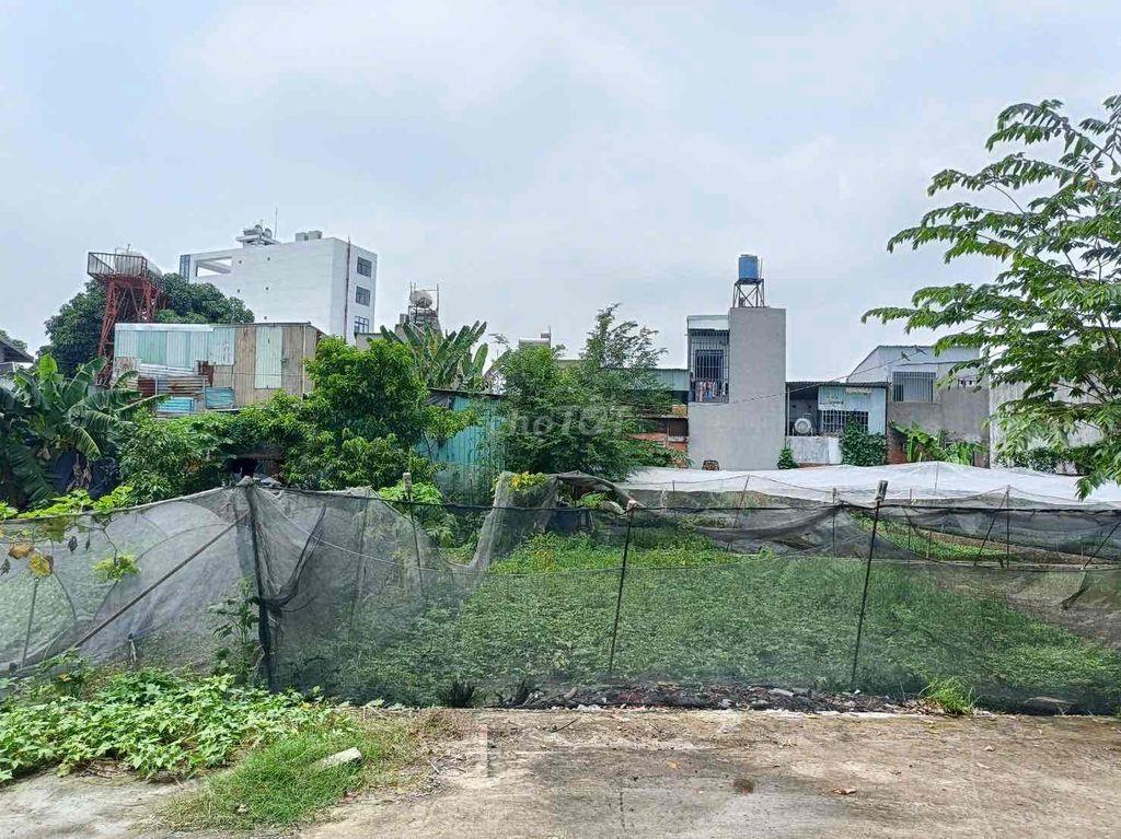 🏡 ĐẤT 8x15M BÙI CÔNG TRỪNG, ĐÔNG THẠNH – HẺM XE HƠI – GIÁ 2,7 TỶ TL