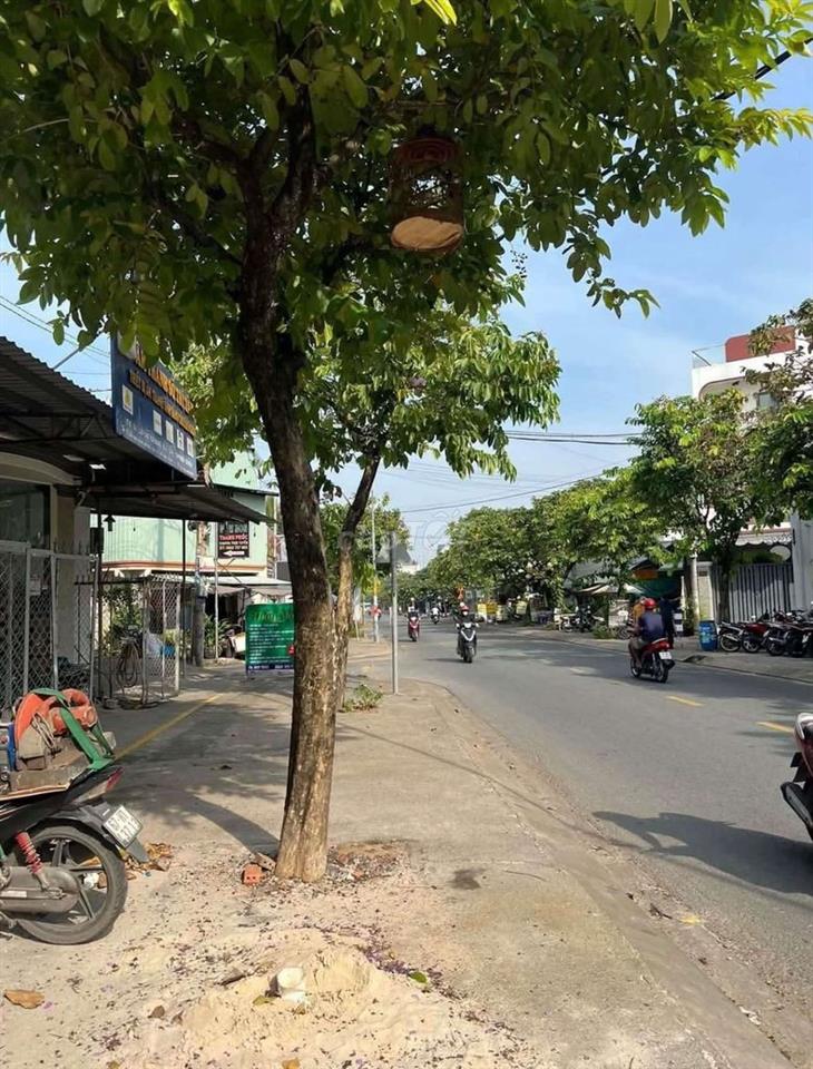 măt băng sâm uât nhât hoc môn .phu hop kinh doanh moi nghanh nghê
