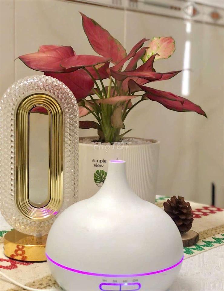 Cho thuê mặt băng kinh doanh spa