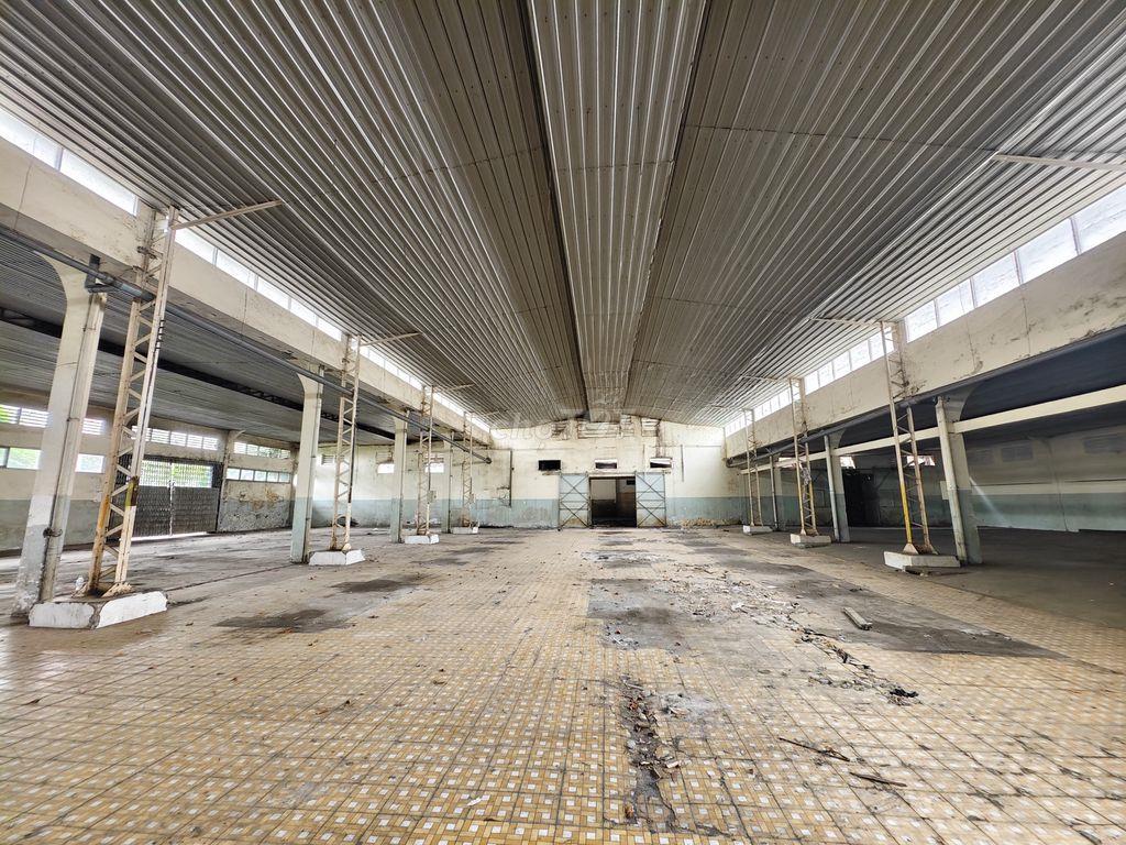 Kho 2500m2 - Trần Văn Dư Tân Bình