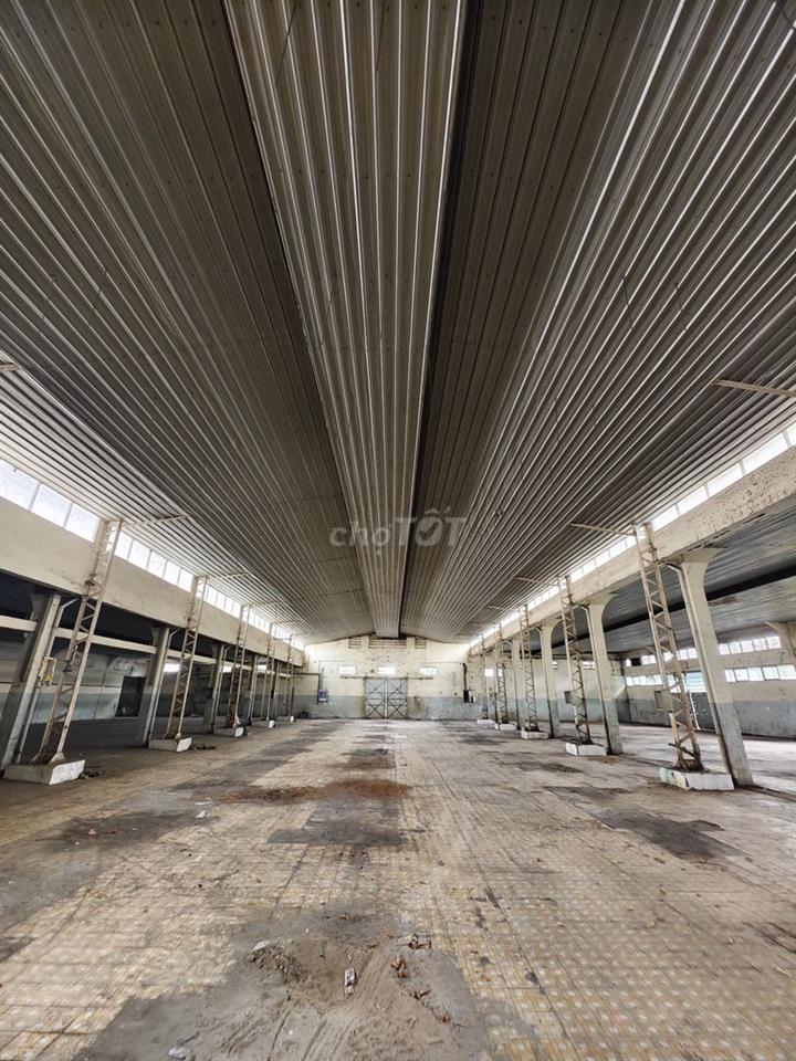 Kho 2500m2 - Trần Văn Dư Tân Bình