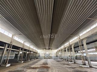 Kho 2500m2 - Trần Văn Dư Tân Bình