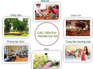 Cho thuê căn hộ chung cư Mỹ Kim