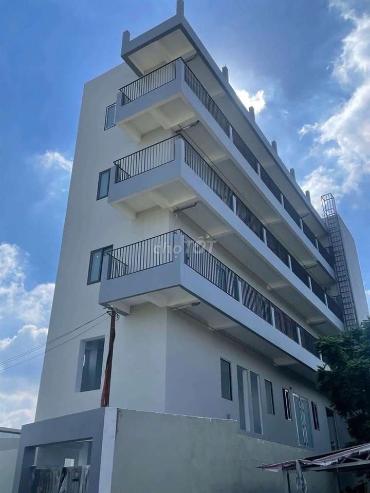 Studio giường tầng, nội thất cơ bản 