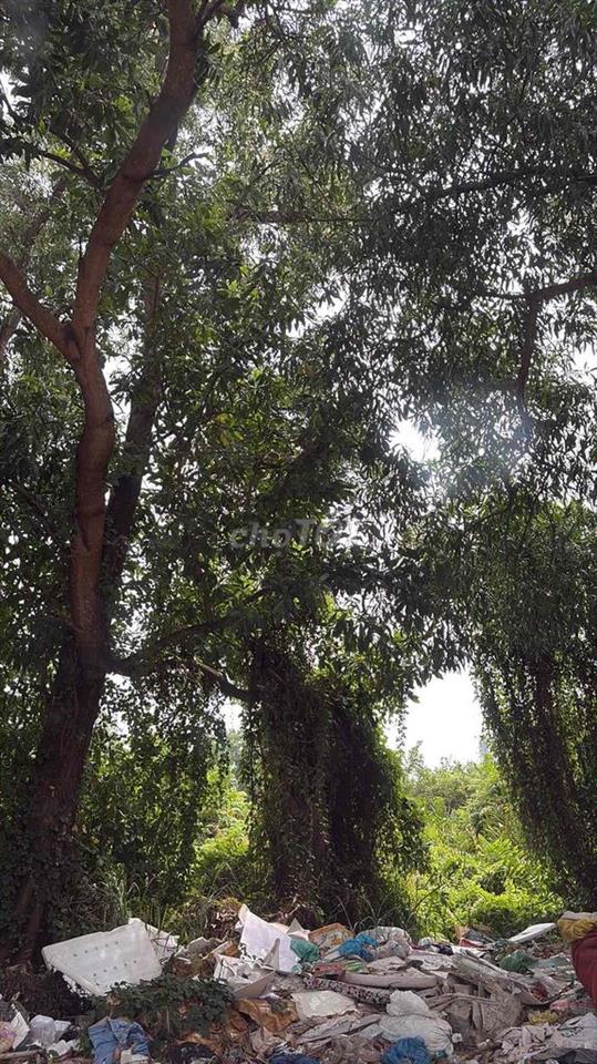 cho thuê nhà nguyen căn gác đúc