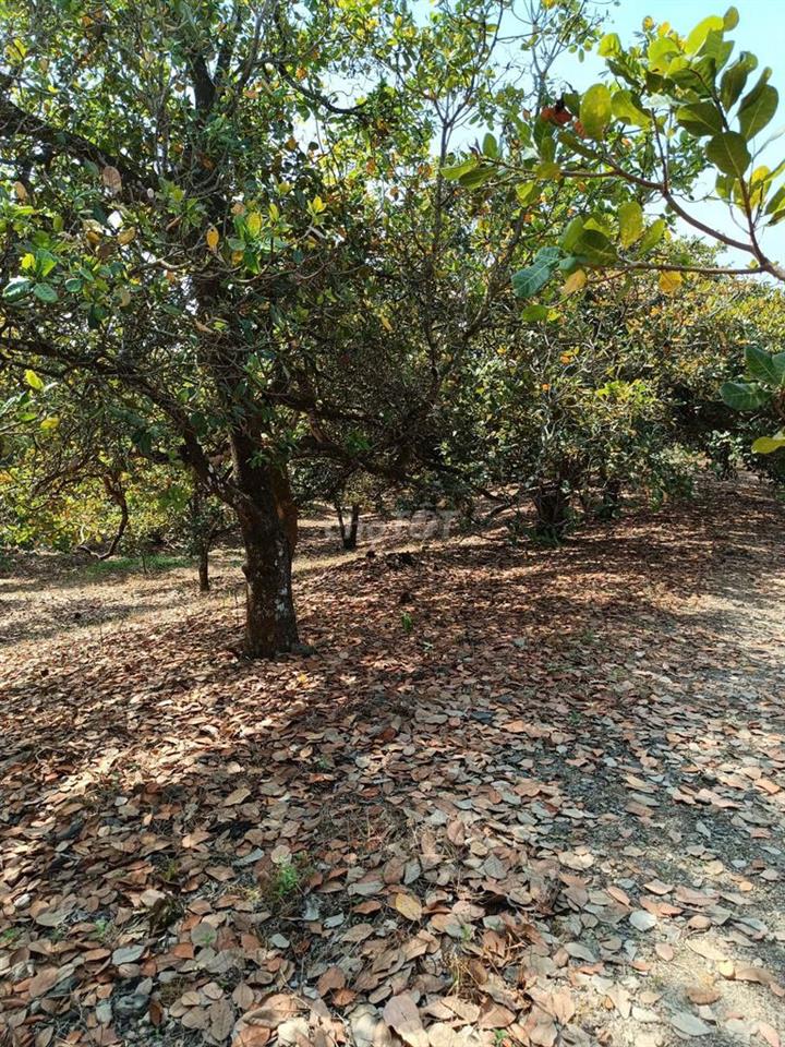BÁN ĐẤT ĐỊNH QUÁN