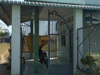 Bán đất tại Khu vực 5, Đức Hòa, 2,6 tỷ, 208 m2,