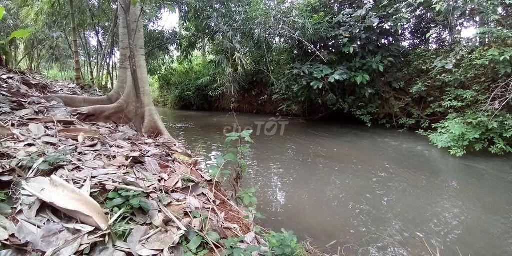 Đất Láng Lớn, Châu Đức, BR-VT vuông vắn, đượng nội bộ 5m, có suối